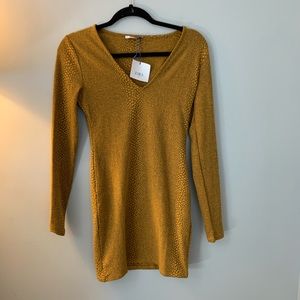 NWT Zara Dress